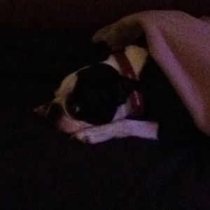 Meet your Posher, Jason